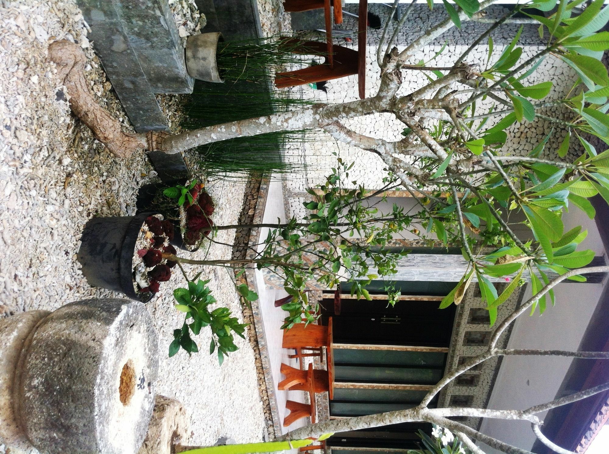 Villa Green House Ped Exterior photo